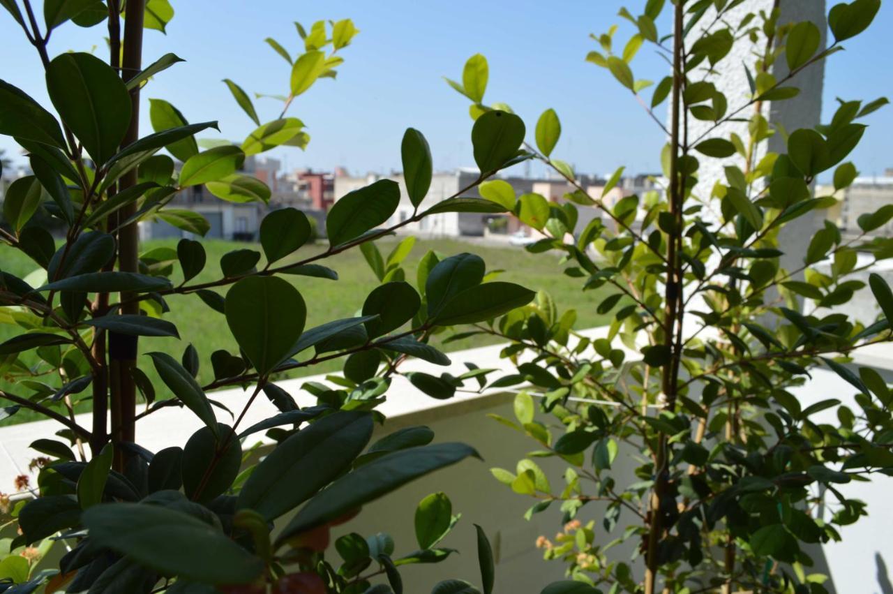 Casa Vacanze Infiore 莱韦拉诺 外观 照片